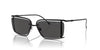 Diesel DL 1002 Occhiali da sole 109/87