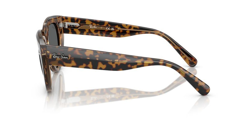 Ray-Ban DOREEN RB 2286 Occhiali da sole 1292B1