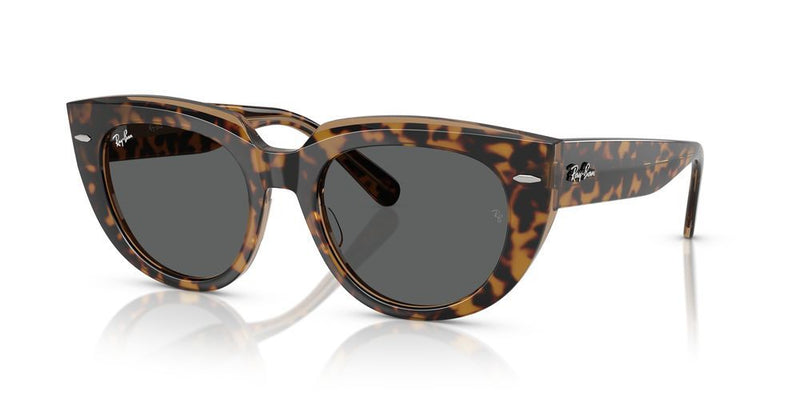 Ray-Ban DOREEN RB 2286 Occhiali da sole 1292B1