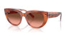 Ray-Ban DOREEN RB 2286 Occhiali da sole 1415A5