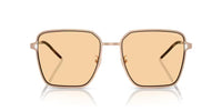 Emporio Armani EA 2159D Occhiali da sole 3011/7