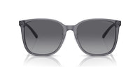 Emporio Armani EA 4206D Occhiali da sole 5029T3