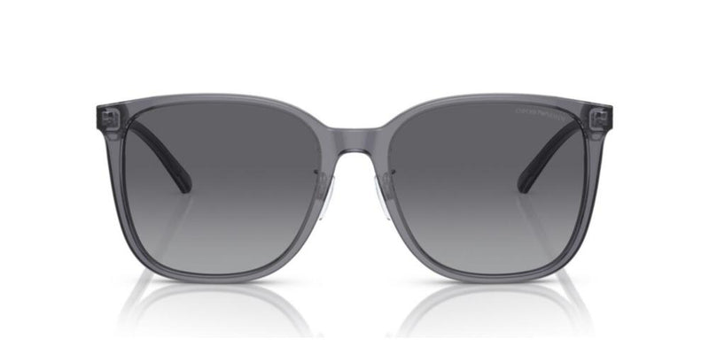 Emporio Armani EA 4206D Occhiali da sole 5029T3