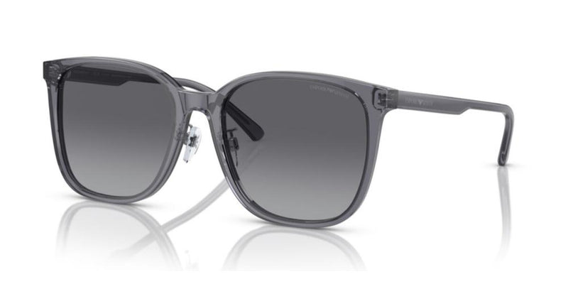 Emporio Armani EA 4206D Occhiali da sole 5029T3