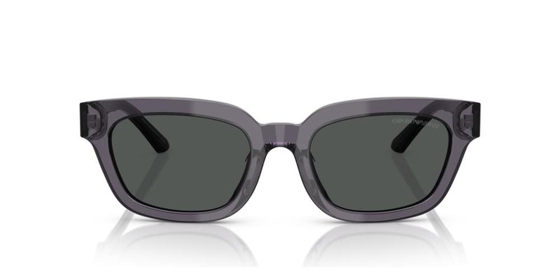 Emporio Armani EA 4233U Occhiali da sole 610687