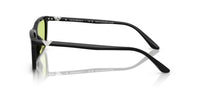 Emporio Armani EA 4239U Occhiali da sole 5017/2