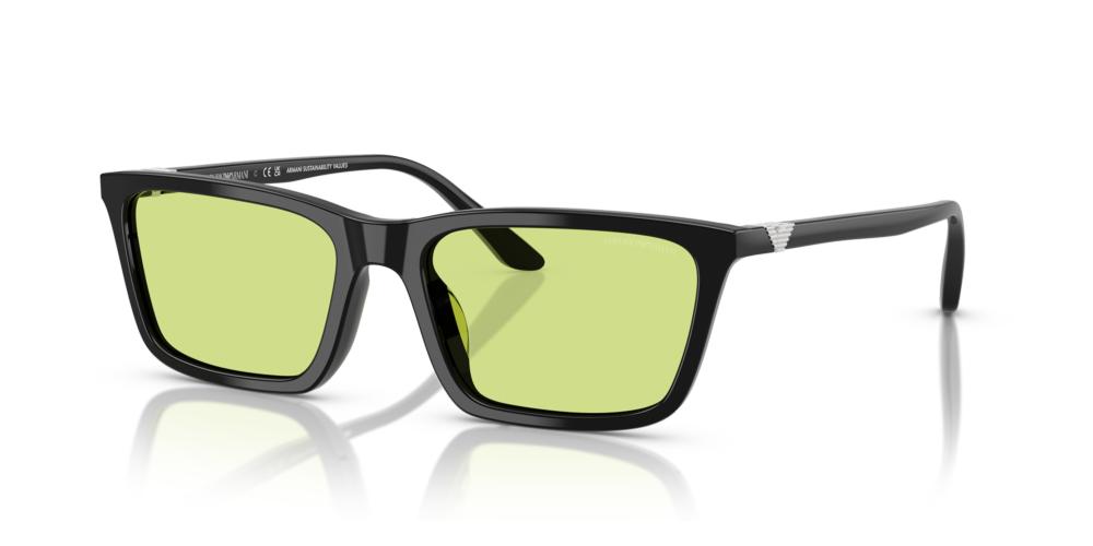 Emporio Armani EA 4239U Occhiali da sole 5017/2