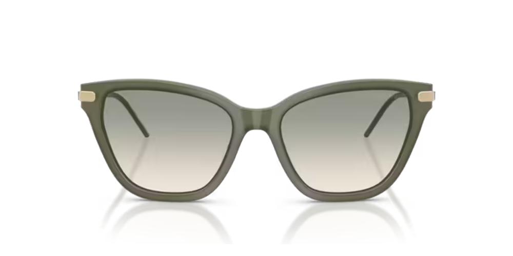 Emporio Armani EA 4251 Occhiali da sole 62642C