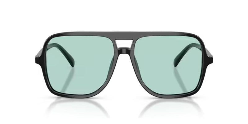 Emporio Armani EA 4252U Occhiali da sole 501765