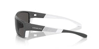 Arnette FRAMBUESA AN 4336 Occhiali da sole 284187