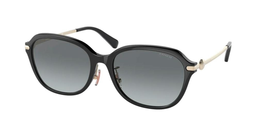 Coach HC 8332D Occhiali da sole 500211