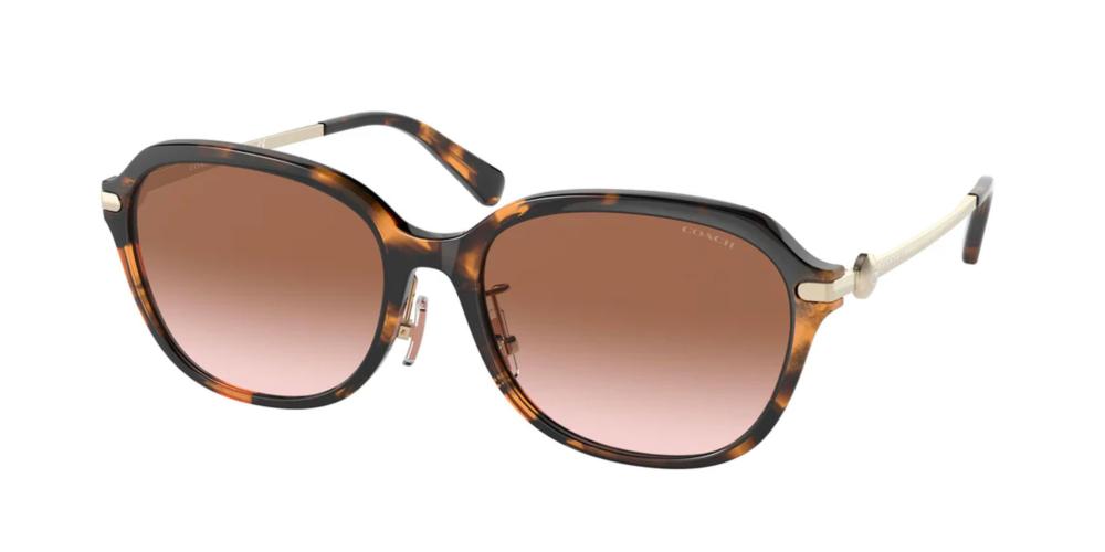 Coach HC 8332D Occhiali da sole 512013