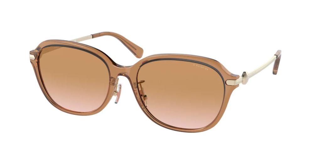 Coach HC 8332D Occhiali da sole 565413