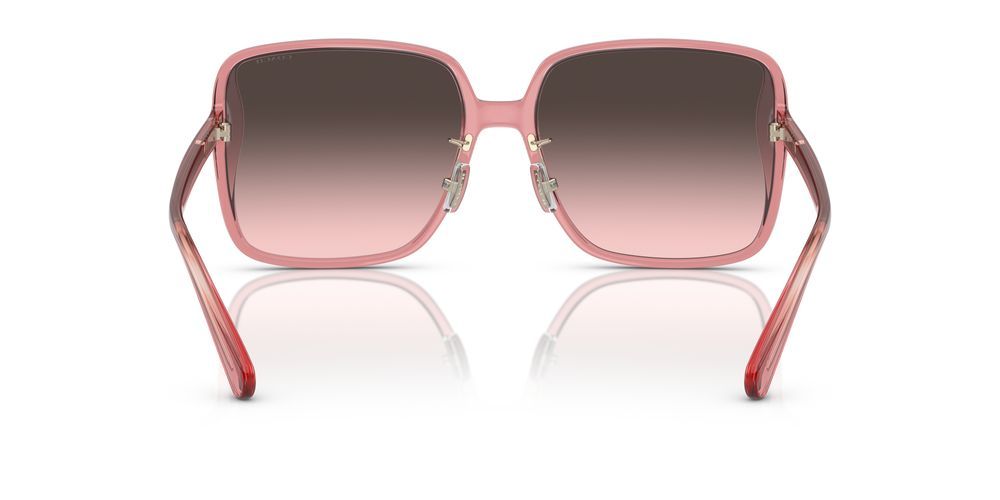 Coach HC 8368D Occhiali da sole 580046