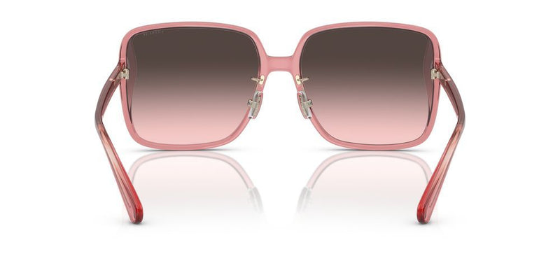 Coach HC 8368D Occhiali da sole 580046