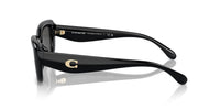 Coach HC 8390U Occhiali da sole 500287