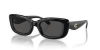 Coach HC 8390U Occhiali da sole 500287