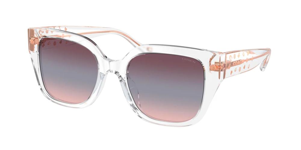 Coach HC 8392U Occhiali da sole 51110J