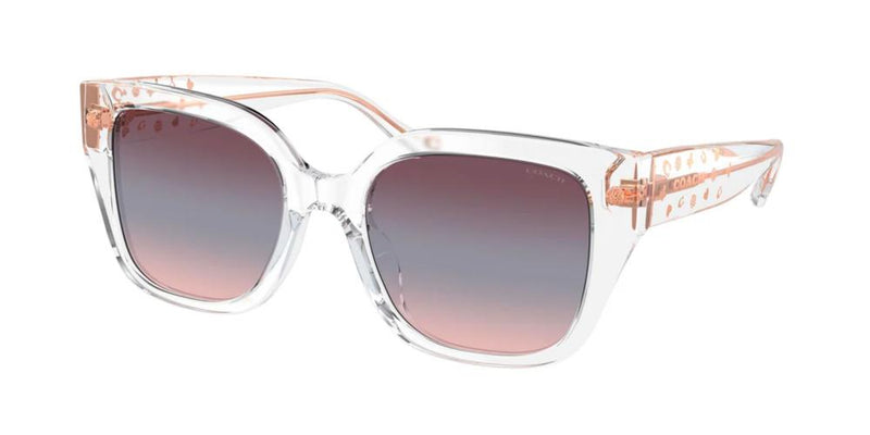 Coach HC 8392U Occhiali da sole 51110J