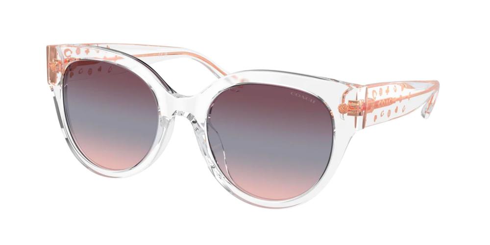 Coach HC 8393U Occhiali da sole 51110J