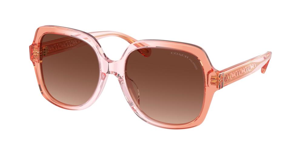 Coach HC 8395U Occhiali da sole 5812T5