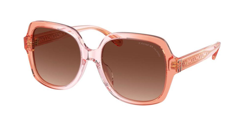 Coach HC 8395U Occhiali da sole 5812T5