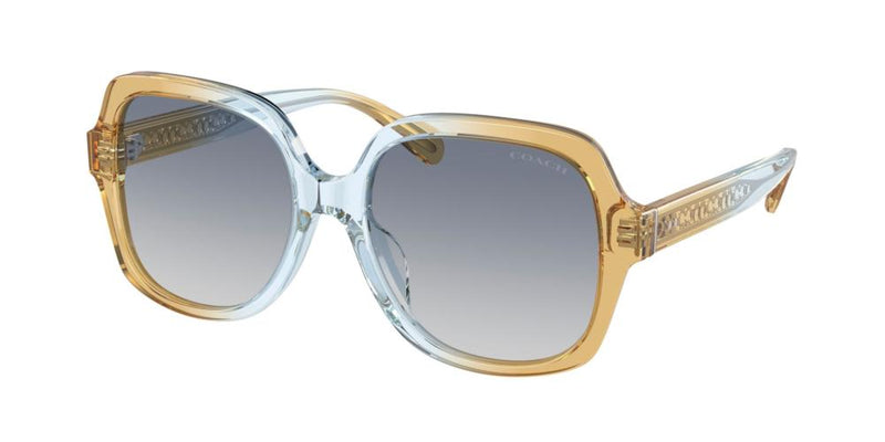 Coach HC 8395U Occhiali da sole 581435