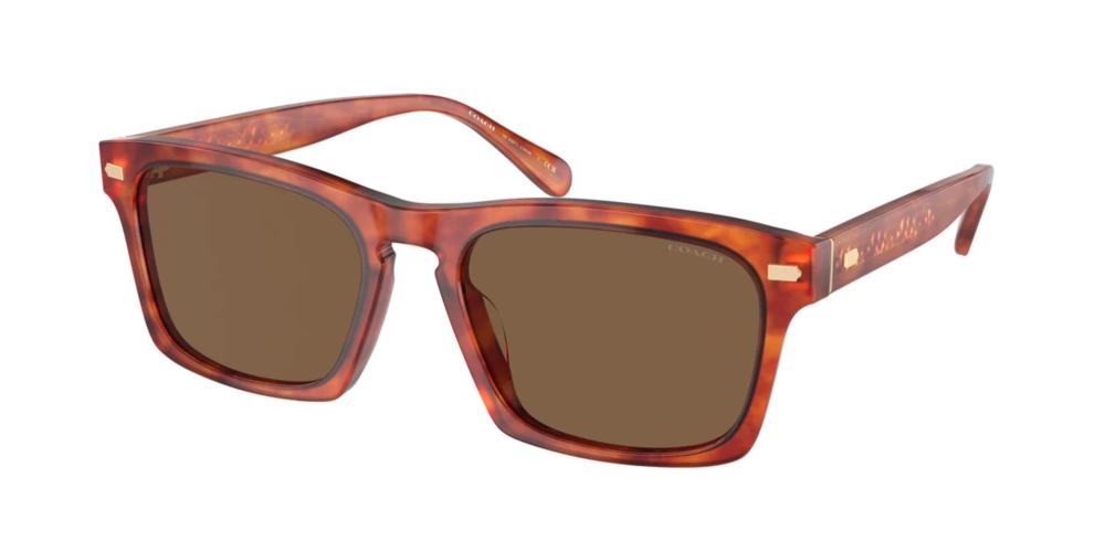 Coach HC 8397U Occhiali da sole 577473