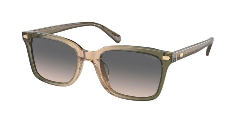 Coach HC 8398U Occhiali da sole 5797G9