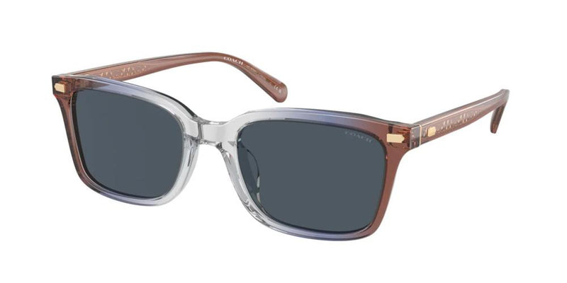 Coach HC 8398U Occhiali da sole 581587