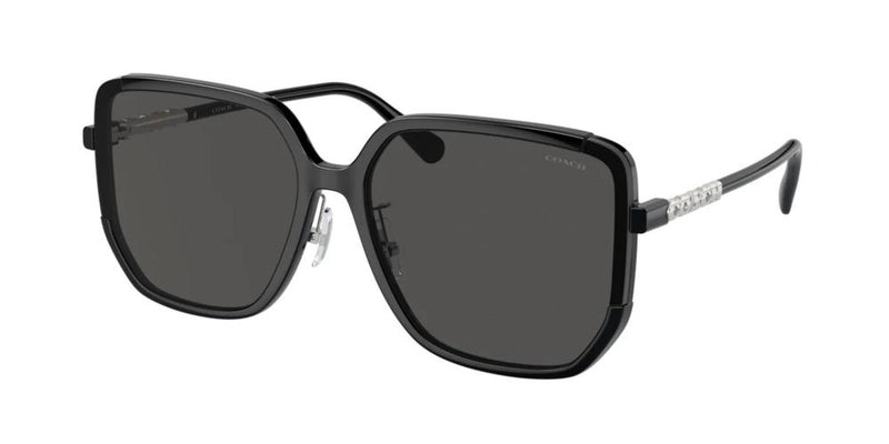 Coach HC 8401D Occhiali da sole 500287