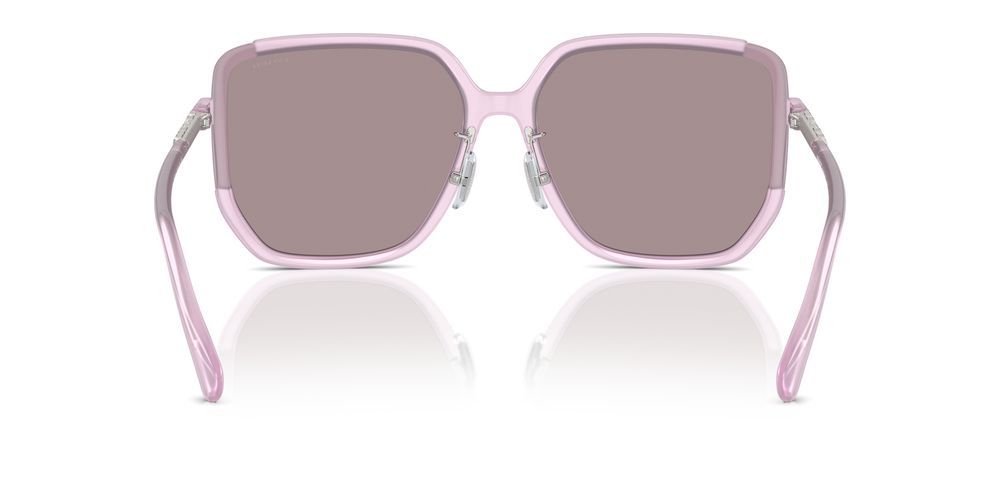 Coach HC 8401D Occhiali da sole 5696AK