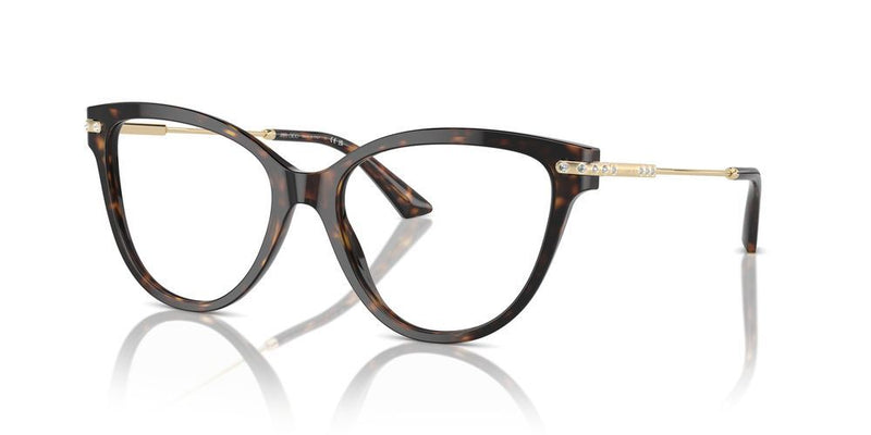 Jimmy Choo JC 3001B Occhiali da vista 5002