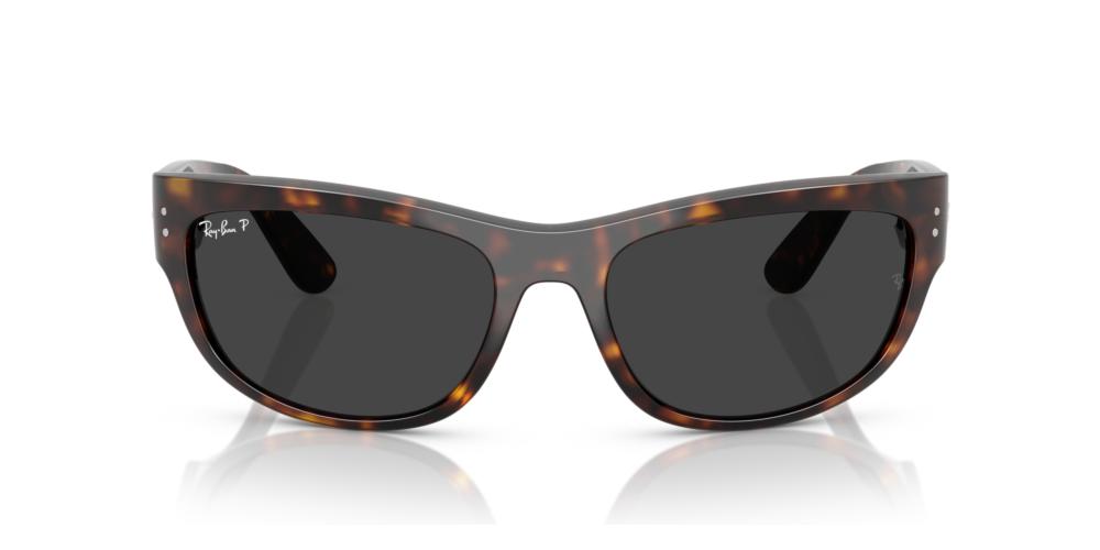Ray-Ban MEGA BALORAMA RB 2289 Occhiali da sole 902/48