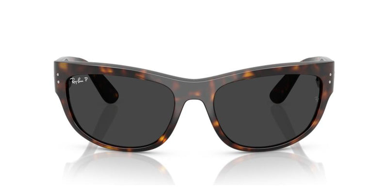 Ray-Ban MEGA BALORAMA RB 2289 Occhiali da sole 902/48