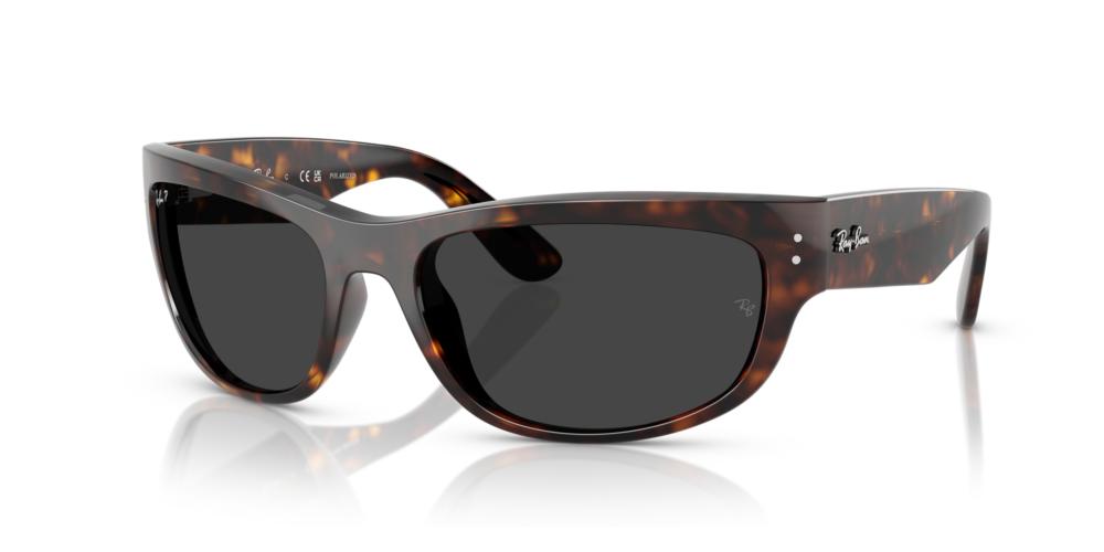 Ray-Ban MEGA BALORAMA RB 2289 Occhiali da sole 902/48