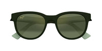Maui Jim MJ0668S Occhiali da sole 004 GNGN