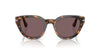 Persol PO 3379S Occhiali da sole 1052/53