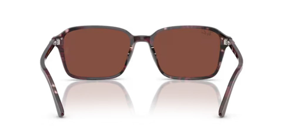 Ray-Ban RAIMOND RB 2231 Occhiali da sole 1416C5