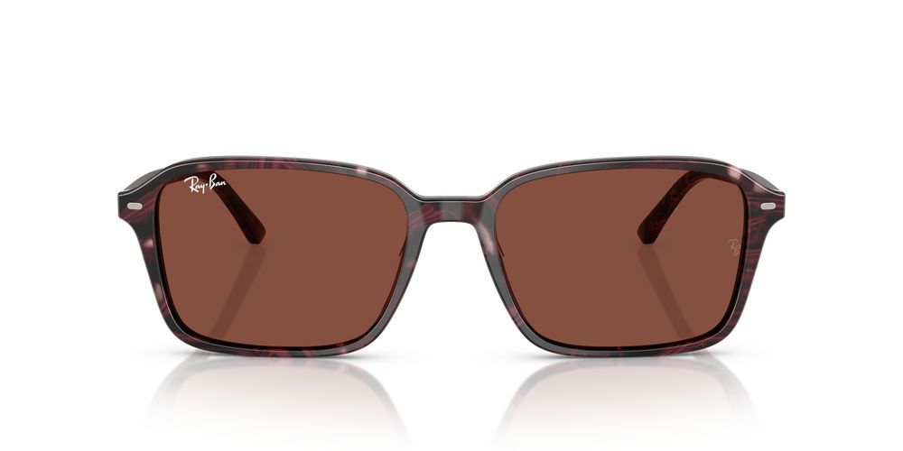 Ray-Ban RAIMOND RB 2231 Occhiali da sole 1416C5