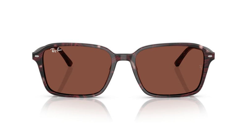 Ray-Ban RAIMOND RB 2231 Occhiali da sole 1416C5