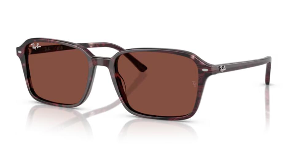 Ray-Ban RAIMOND RB 2231 Occhiali da sole 1416C5