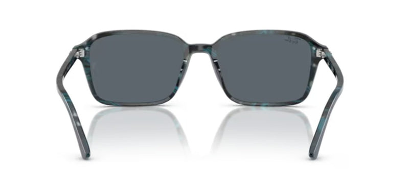 Ray-Ban RAIMOND RB 2231 Occhiali da sole 1417R5