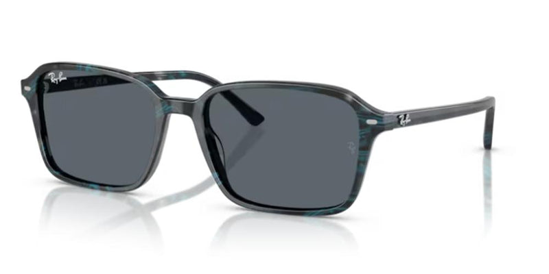 Ray-Ban RAIMOND RB 2231 Occhiali da sole 1417R5