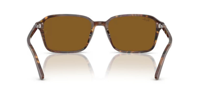 Ray-Ban RAIMOND RB 2231 Occhiali da sole 141833