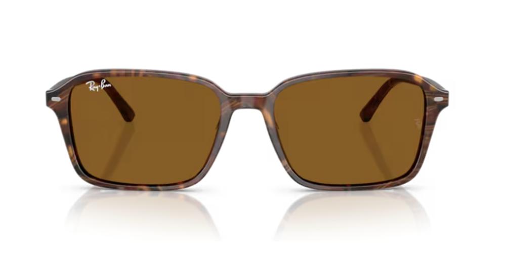 Ray-Ban RAIMOND RB 2231 Occhiali da sole 141833