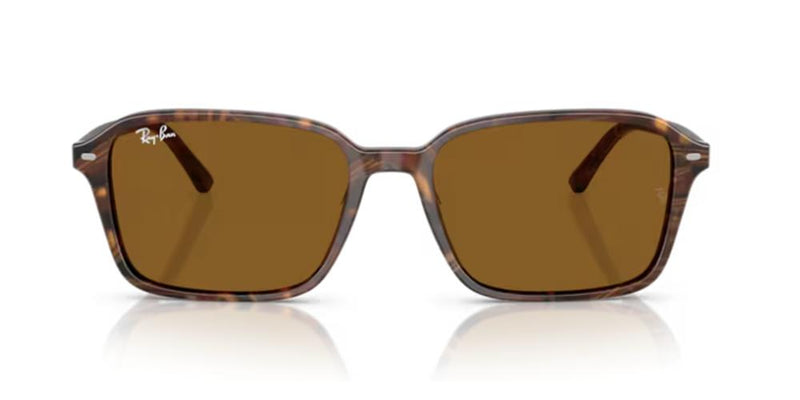 Ray-Ban RAIMOND RB 2231 Occhiali da sole 141833