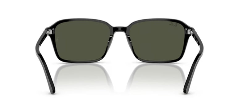 Ray-Ban RAIMOND RB 2231 Occhiali da sole 901/31