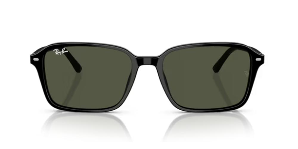Ray-Ban RAIMOND RB 2231 Occhiali da sole 901/31