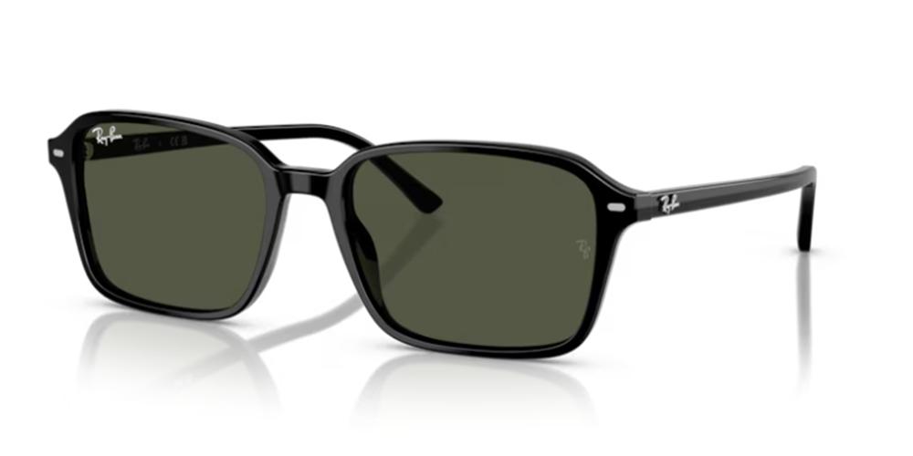 Ray-Ban RAIMOND RB 2231 Occhiali da sole 901/31